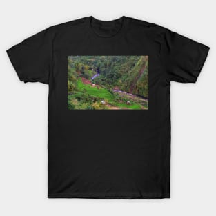 rice field in the valley T-Shirt